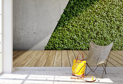 Fototapeta Vertikálna zelená záhrada na betónovej stene